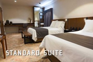 standard-suite